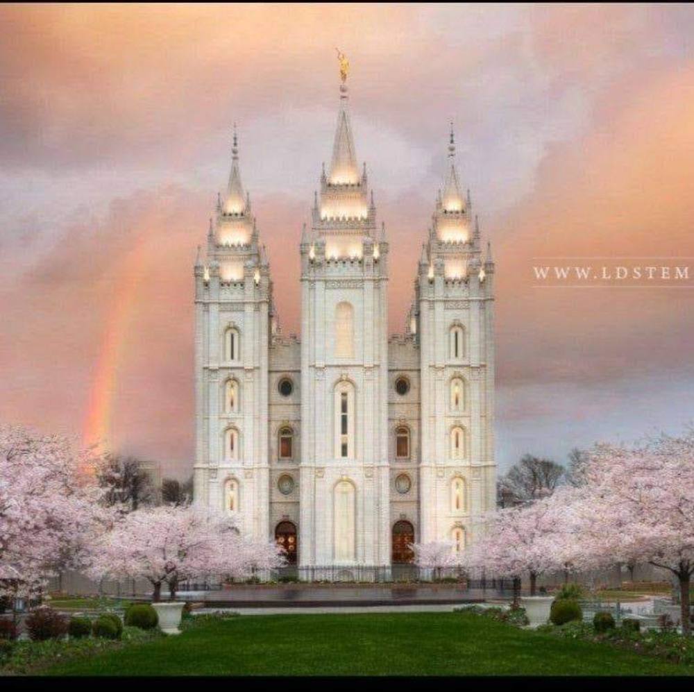 Meet your Posher, Lanz